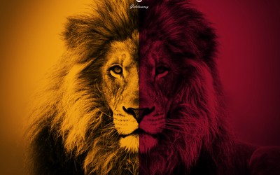 GG体育热评-他们踢了太多加时赛