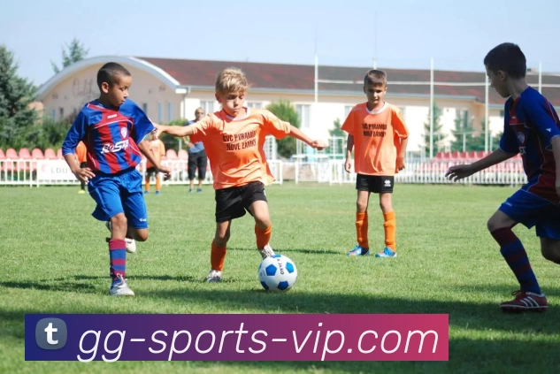 GG体育VIPAPP 封面图